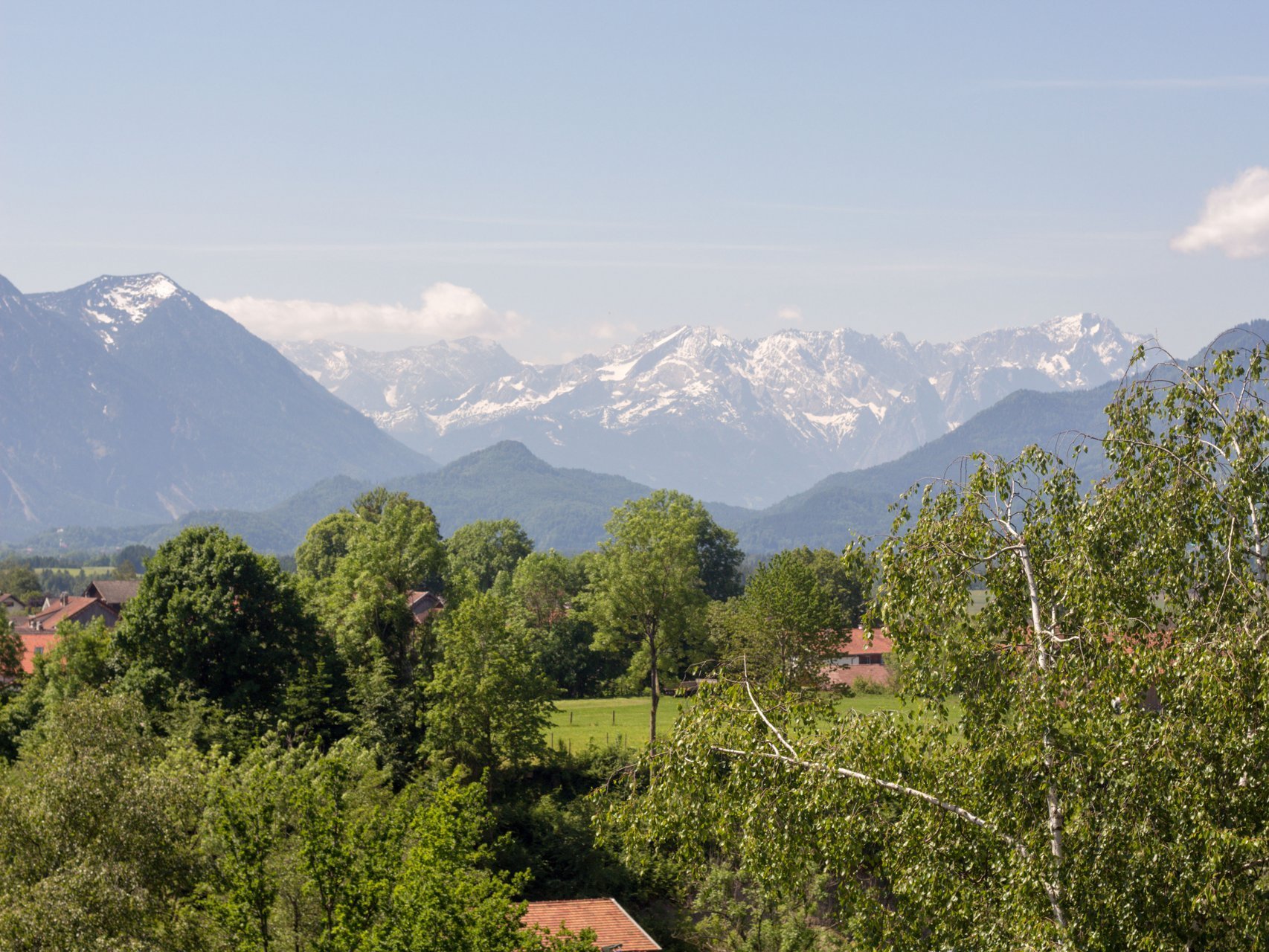 Aplenpanorama - Bäume im Vordergrund