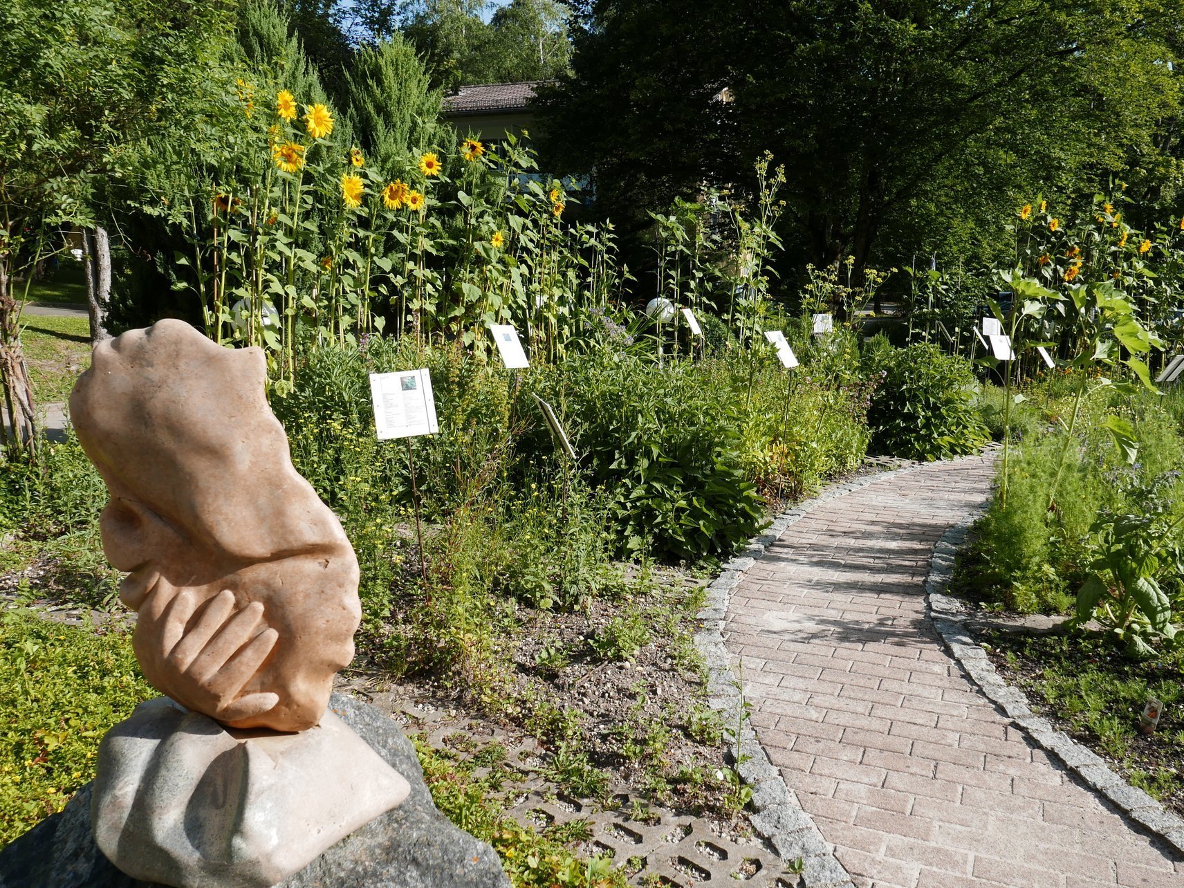 Steinweg durch den Garten mit Sonnenblumen und Skulpturen